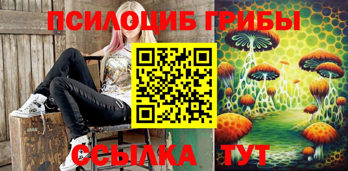 Псилоцибиновые грибы MAGIC MUSHROOMS  Вход с VPN  Заволжье  Галлюциногенные грибы MAGIC MUSHROOMS 