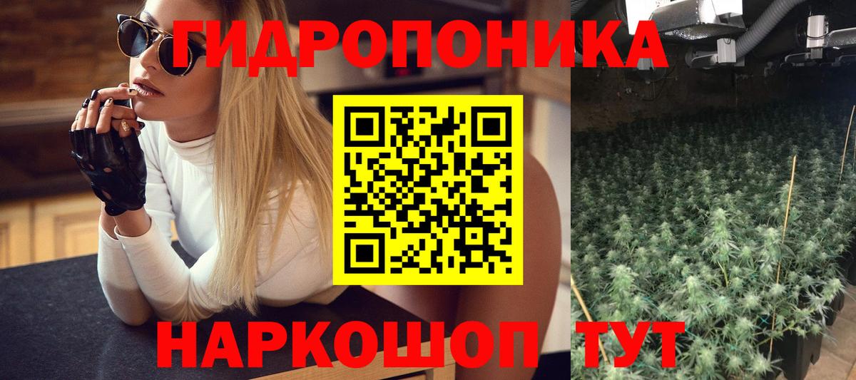 Шишки марихуана ГИДРОПОН Заволжье